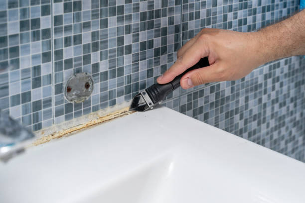 Best Insurance-Related Mold Remediation in Gustine, CA