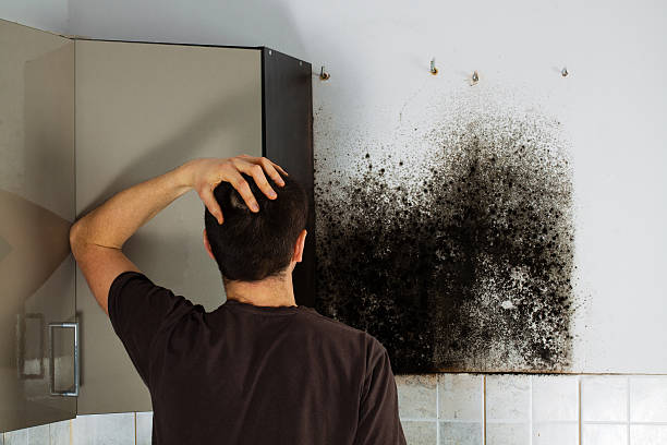 Best Bathroom Mold Remediation in Gustine, CA